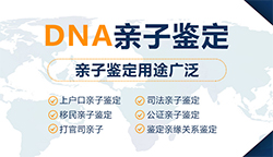 甘肃省亲子鉴定机构怎么做鉴定，甘肃省亲子鉴定多久能出结果