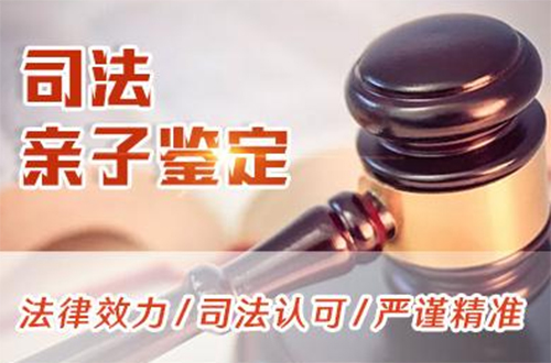 甘肃省司法亲子鉴定条件和流程,甘肃省司法DNA亲子鉴定收费标准